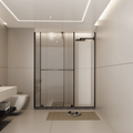 Adjustable Frameless Sliding Shower Door