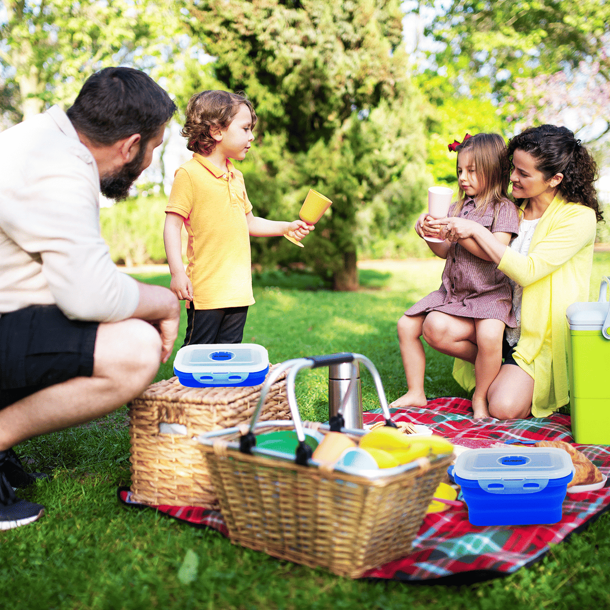 GLIDER Collapsible Bento Container Set for Meals on the Go