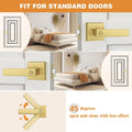 Gold Privacy Door Handle Lockset – practical Interior Door Lever, Keyless, Reversible, 10 Pack