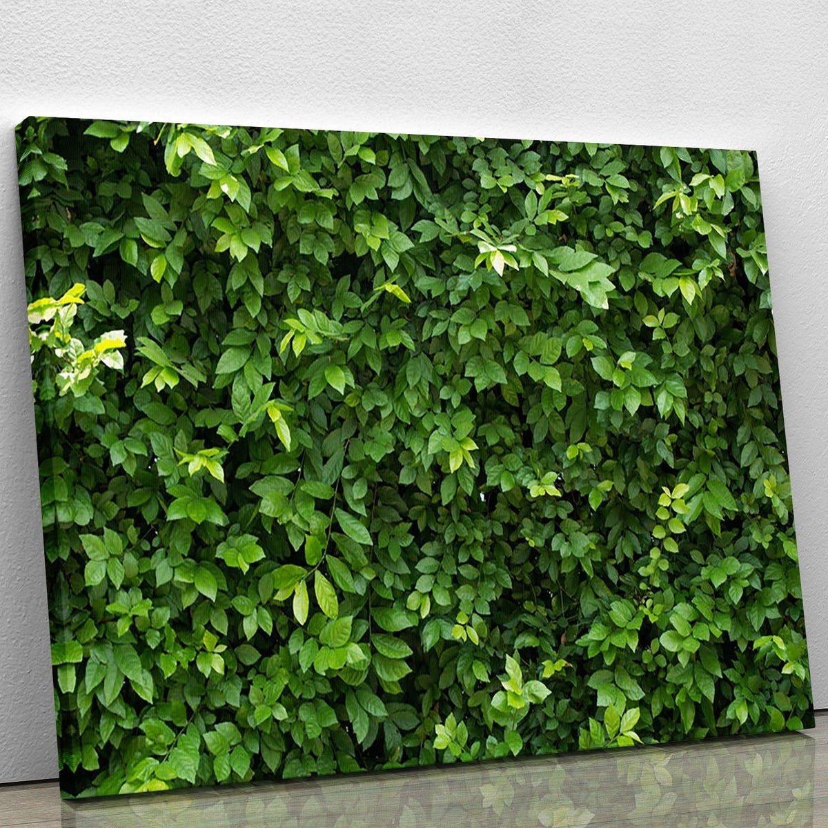Green Leaves for Background Botanical Wall Art