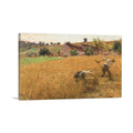 Harvest 1900 for Home Organization