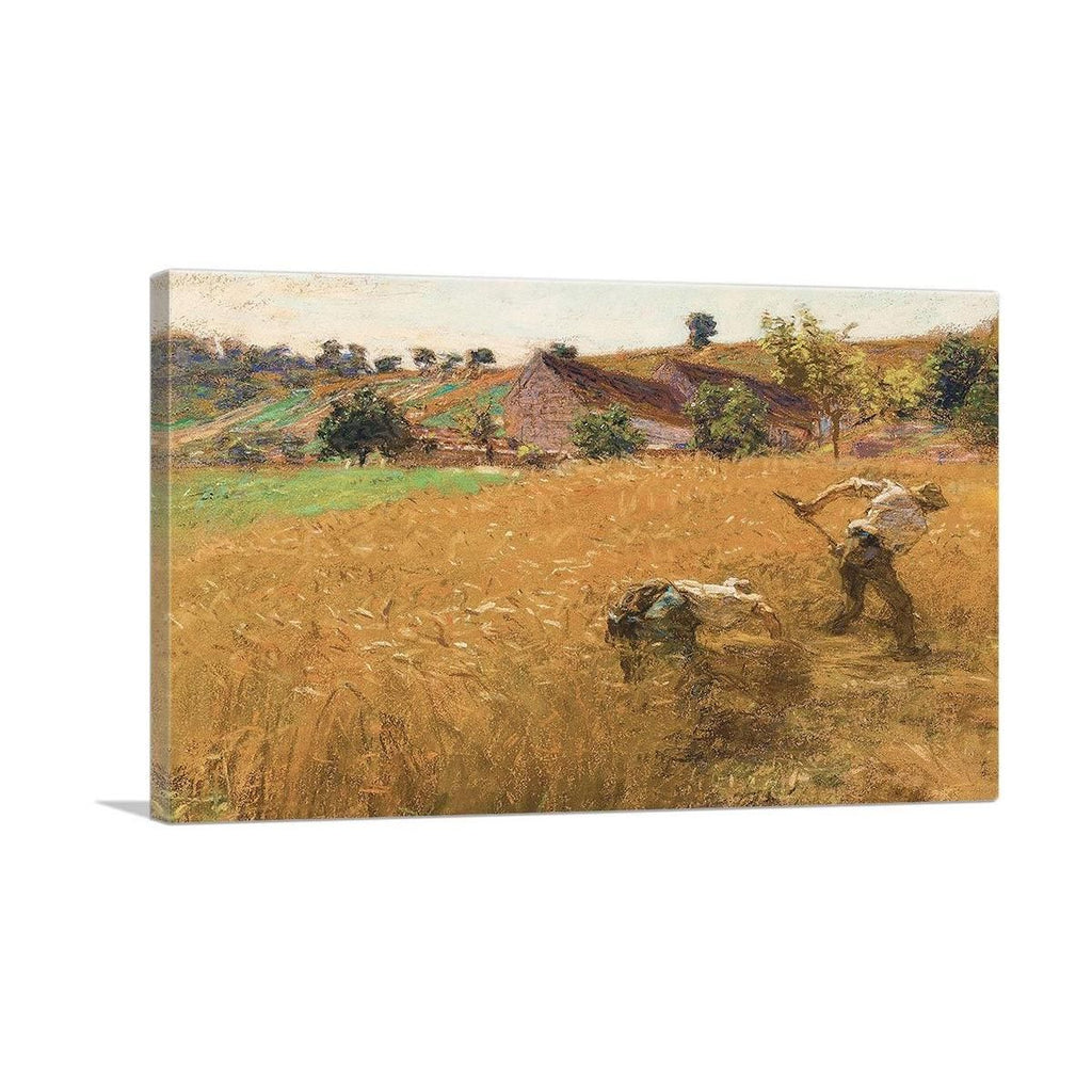 Harvest 1900 for Home Organization