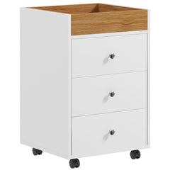 HOMCOM Rolling Office Cabinet and Printer Stand