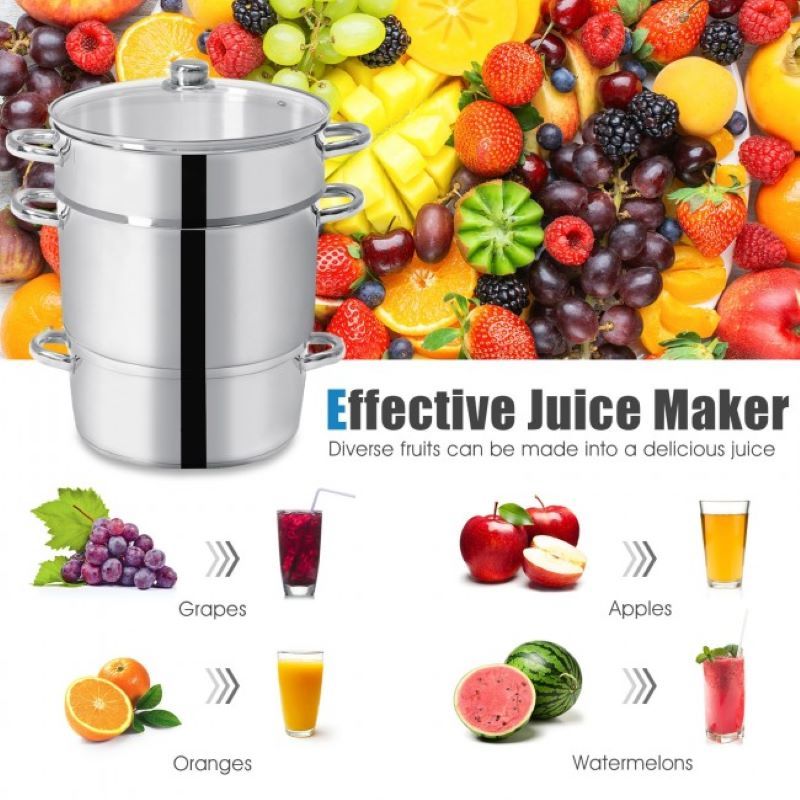 Premium Stainless Steel Fruit and Vegetable Juicer Steamer