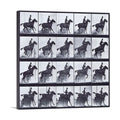 Horse and Rider Jumping Hurdle Canvas Art