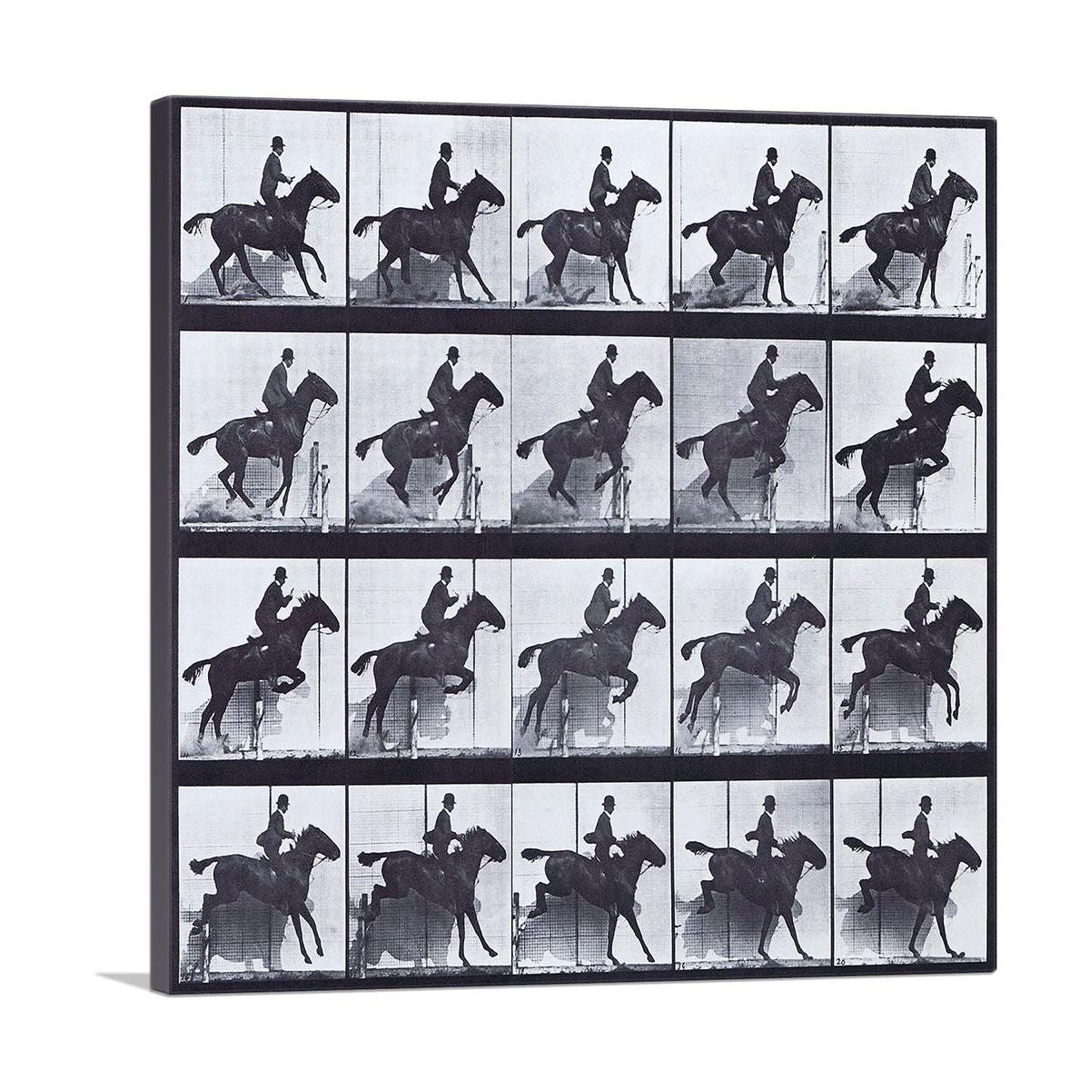 Horse and Rider Jumping Hurdle Canvas Art