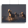 Horses in Sunset Light Wall Art
