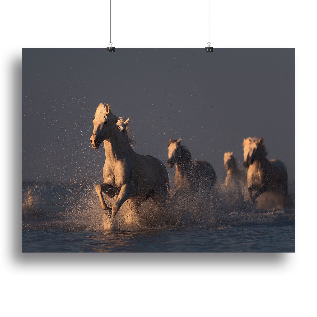 Horses in Sunset Light Wall Art