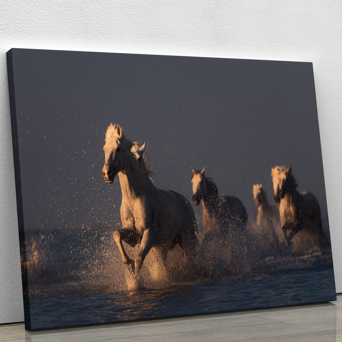 Horses in Sunset Light Wall Art