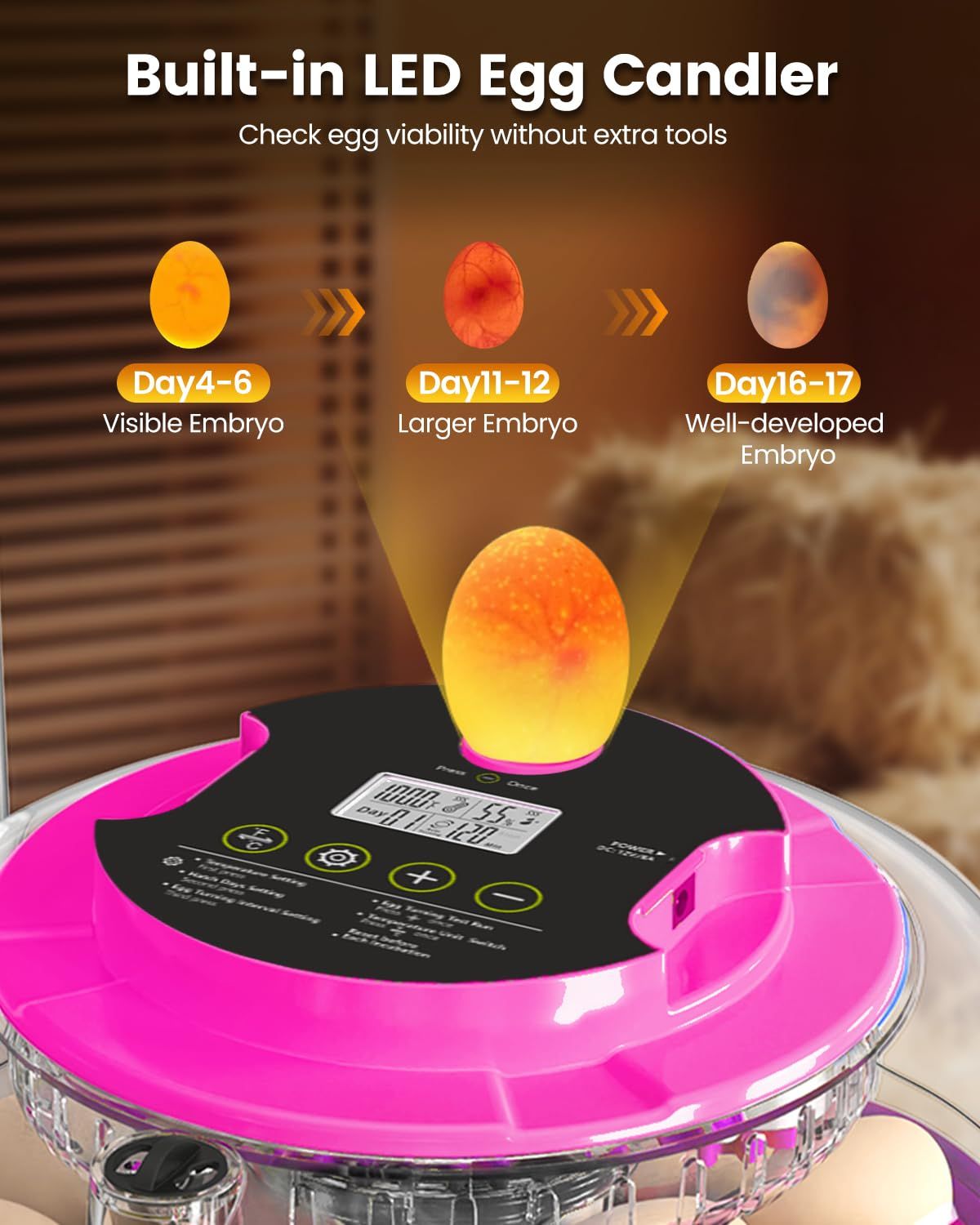 Incubator for Hatching Eggs with Automatic Egg Turner and Digital Controls
