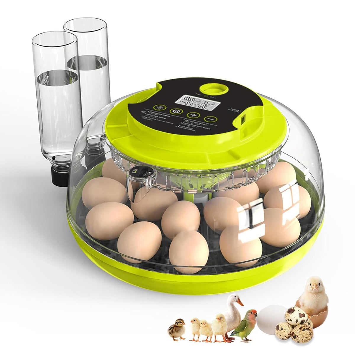 Incubator for Hatching Eggs with Automatic Egg Turner and Digital Controls
