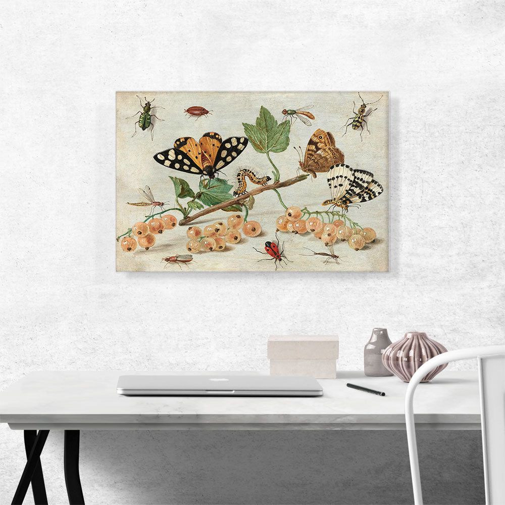 Insects And Fruit Decorative Wall Art