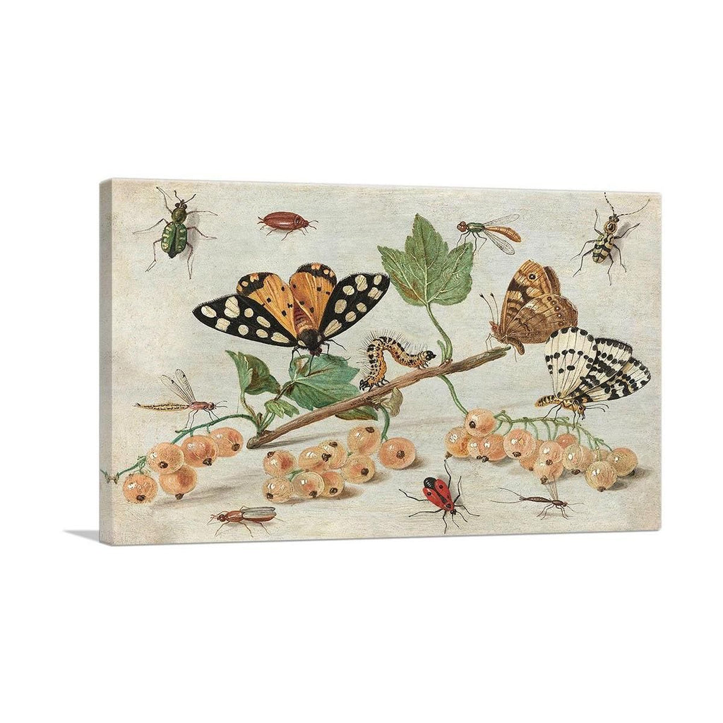 Insects And Fruit Decorative Wall Art