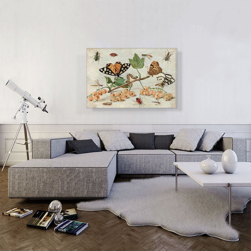 Insects And Fruit Decorative Wall Art