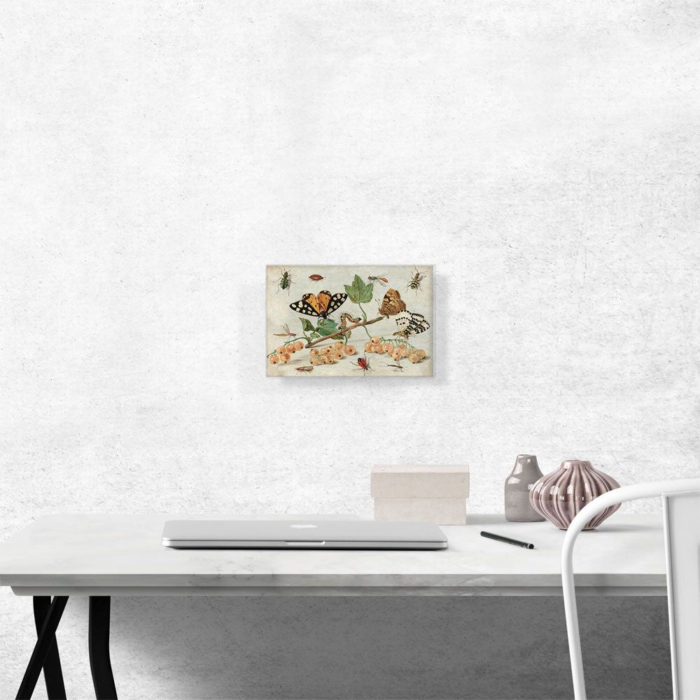Insects And Fruit Decorative Wall Art