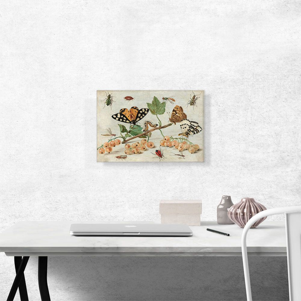 Insects And Fruit Decorative Wall Art