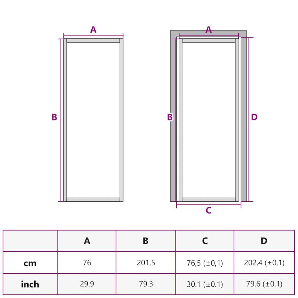 Black Matte Glass Interior Door With Modern Lines
