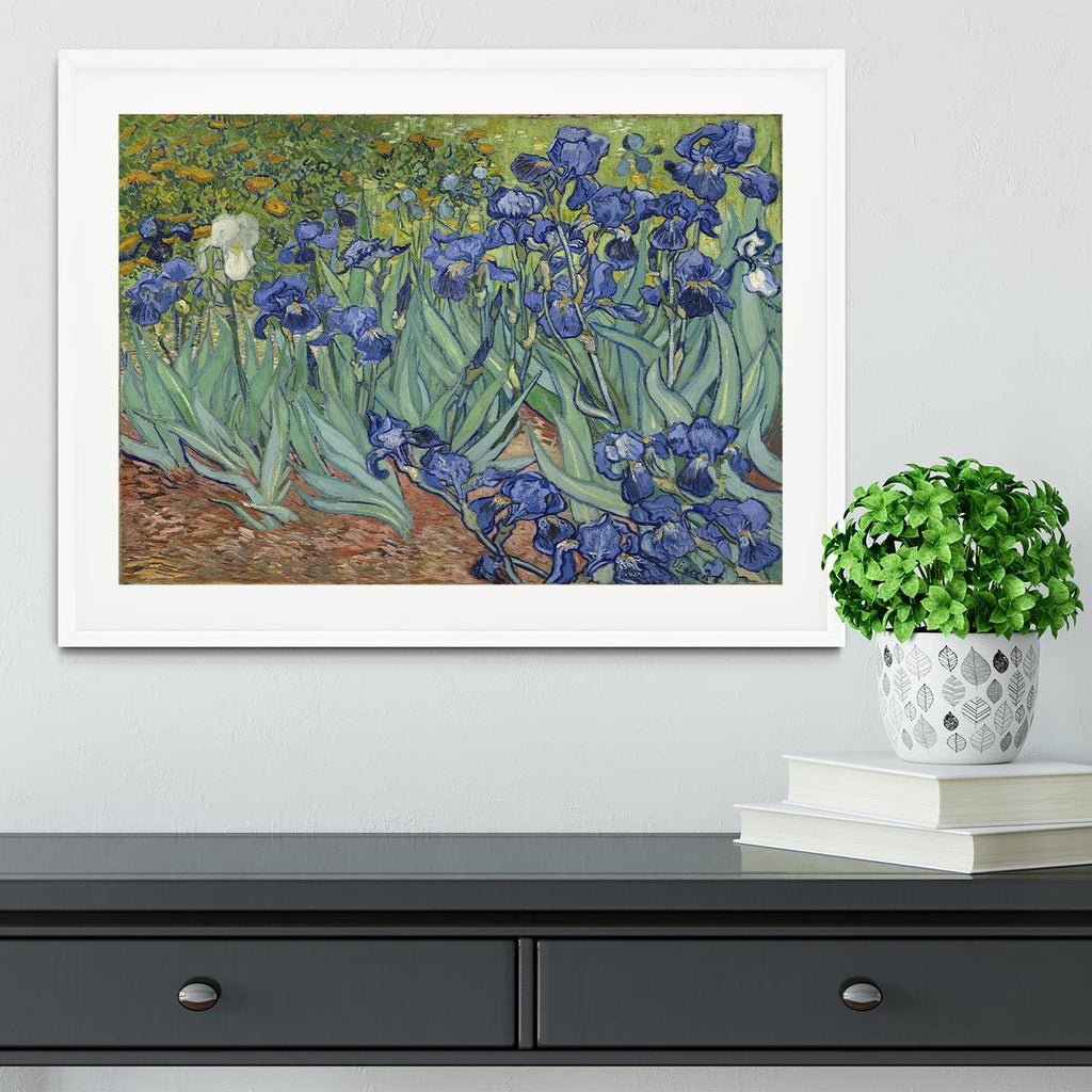 Van Gogh Irises Framed Art, Ready to Hang