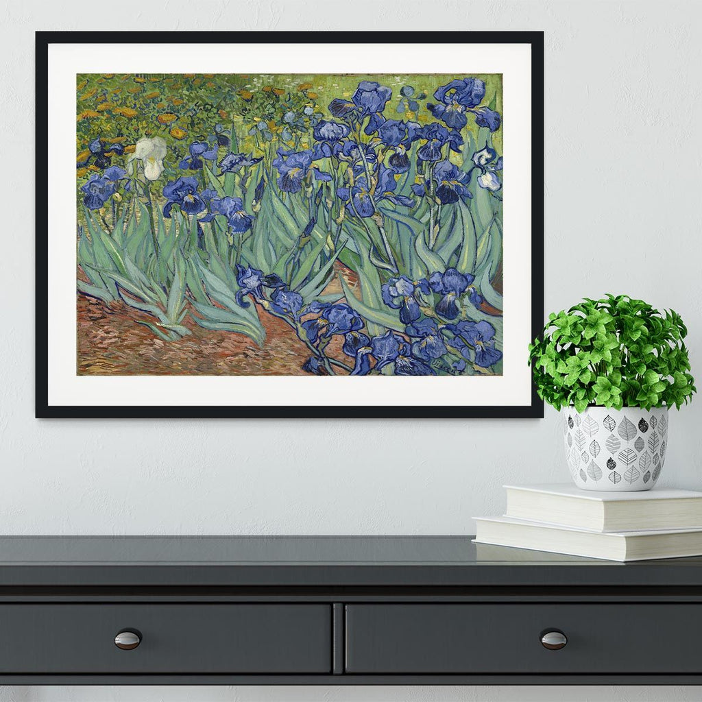 Van Gogh Irises Framed Art, Ready to Hang