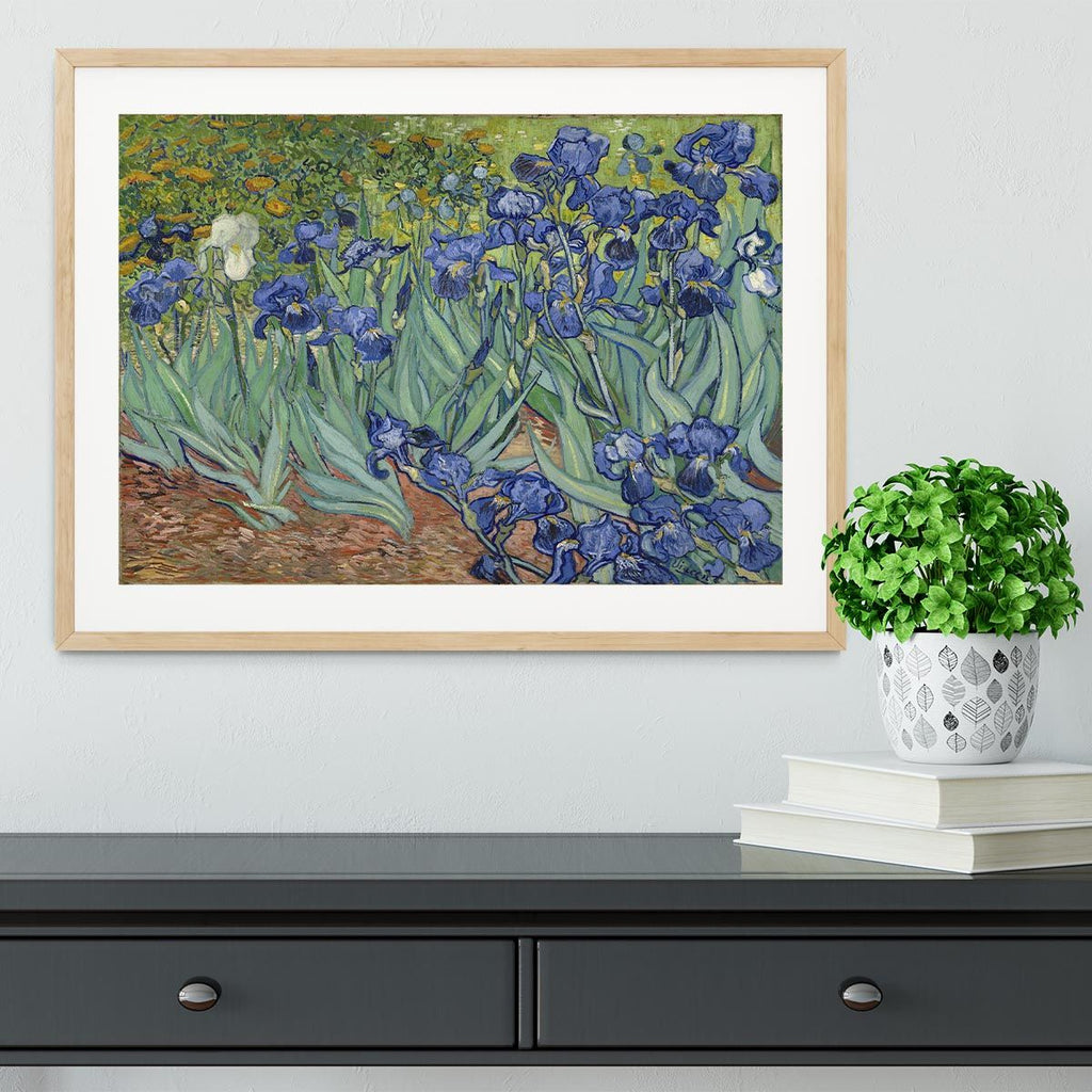 Van Gogh Irises Framed Art, Ready to Hang