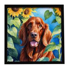 Irish Setter in Sunflowers Framed Wall Art – Ready to Hang