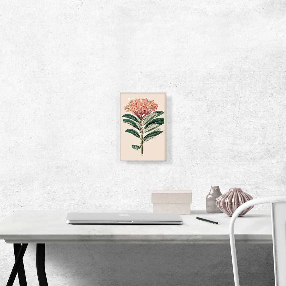 Jungle Geranium Flower Canvas Art