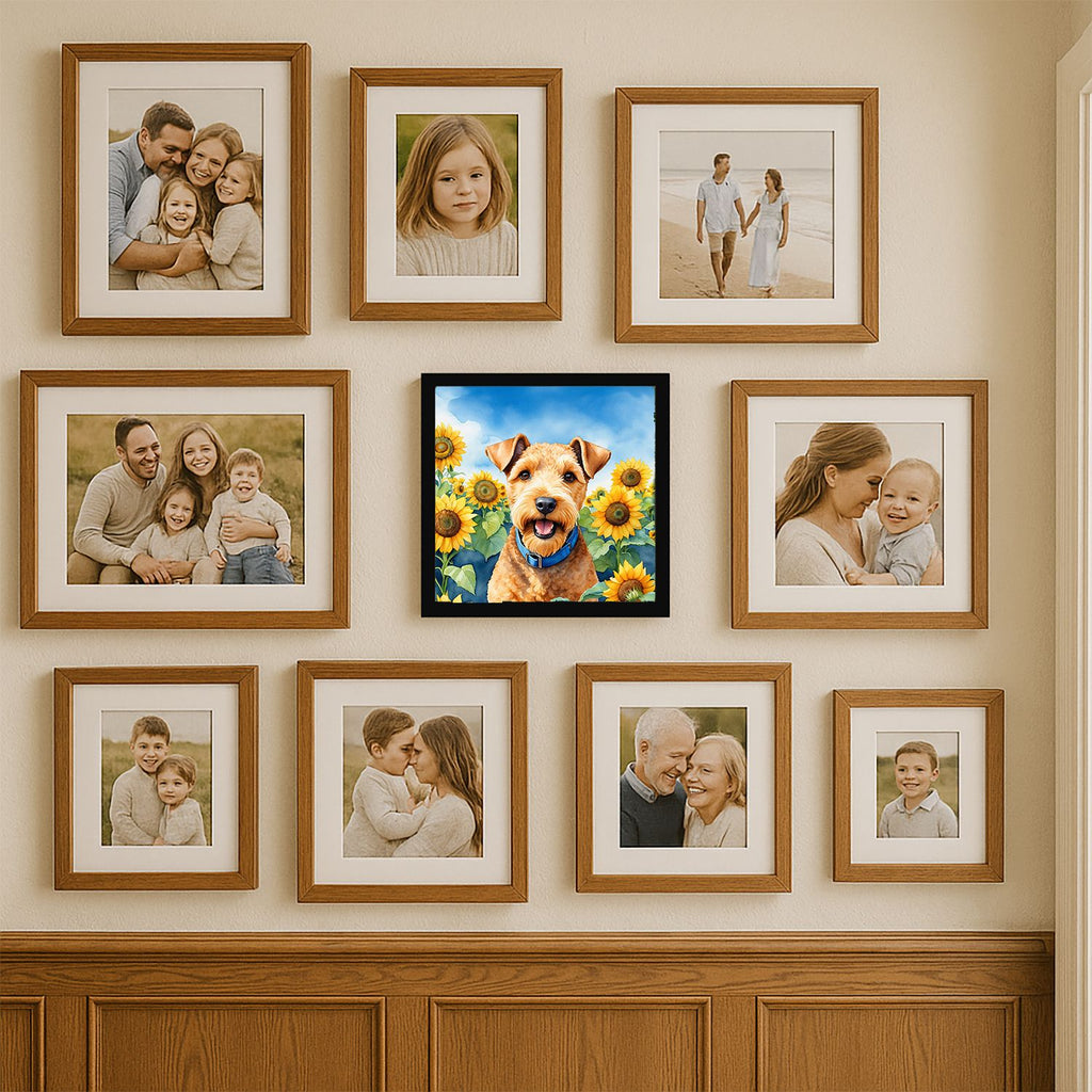 Lakeland Terrier in Sunflowers Metal Print, Wall Art