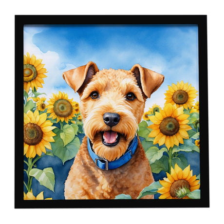 Lakeland Terrier in Sunflowers Metal Print, Wall Art