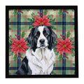 Landseer Newfoundland Christmas Poinsettias Framed Print