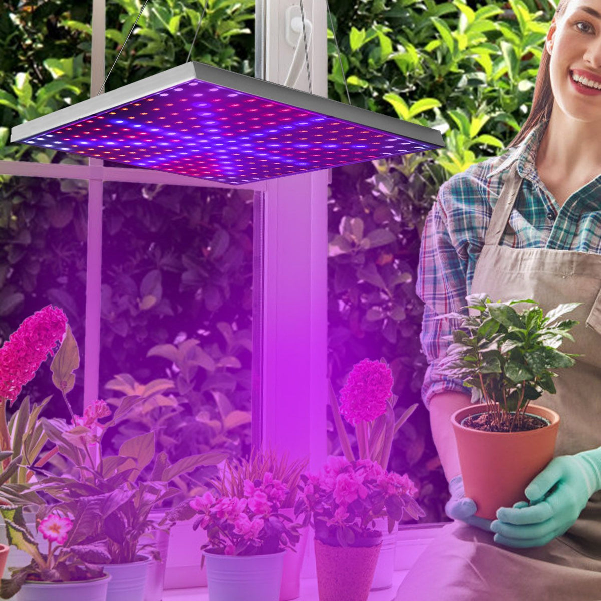 Full-Spectrum Hanging LED Grow Light for Indoor Plants