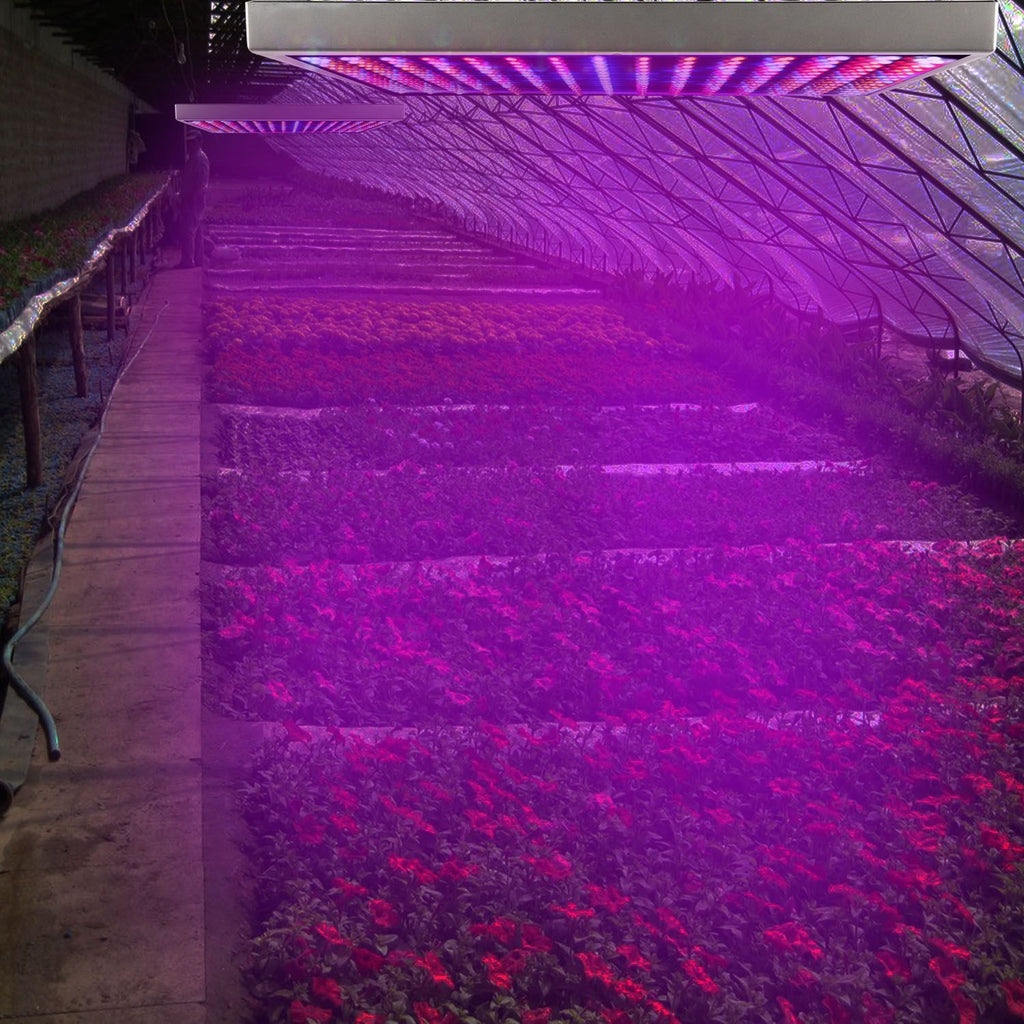 Full-Spectrum Hanging LED Grow Light for Indoor Plants