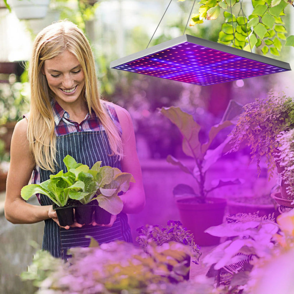 Full-Spectrum Hanging LED Grow Light for Indoor Plants