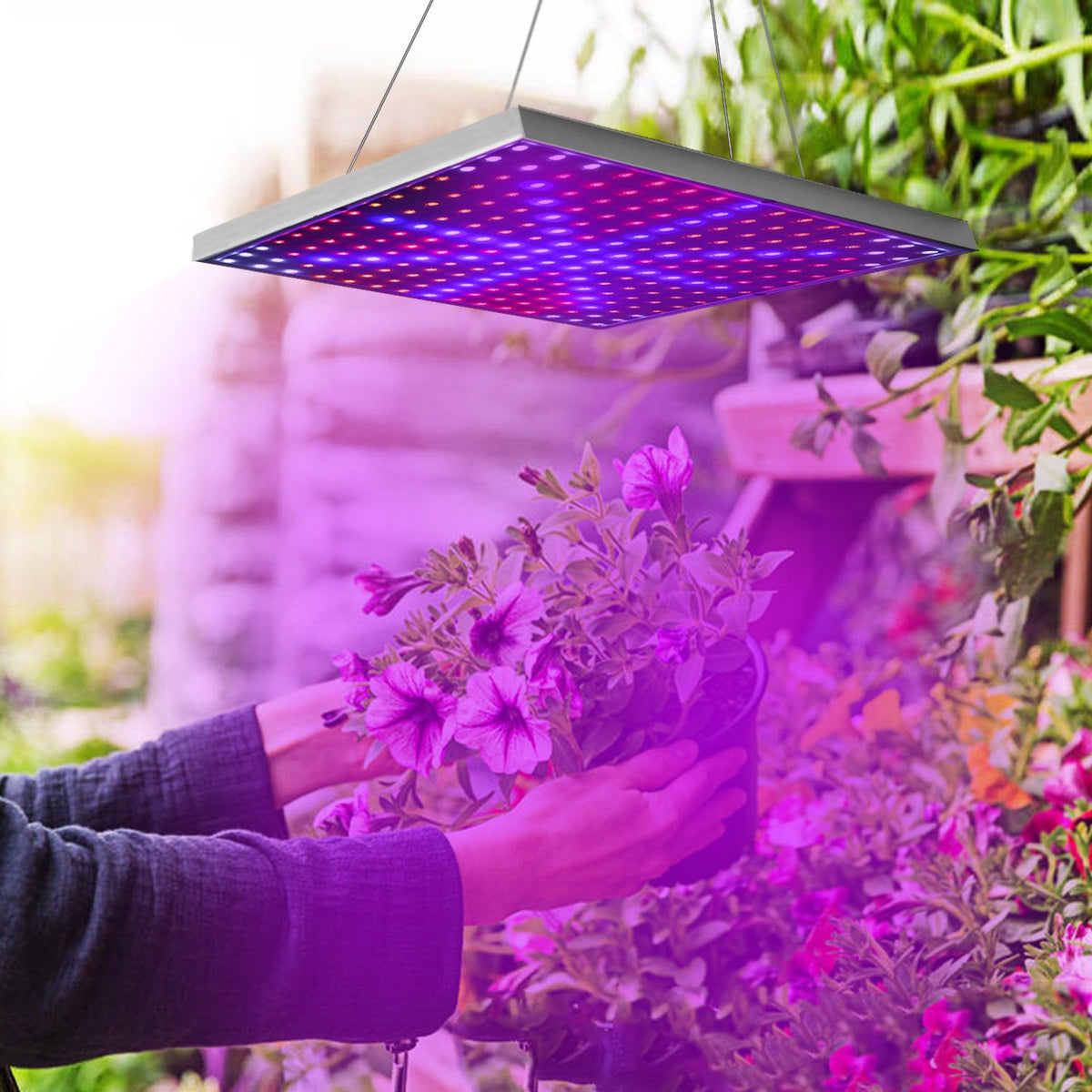 Full-Spectrum Hanging LED Grow Light for Indoor Plants