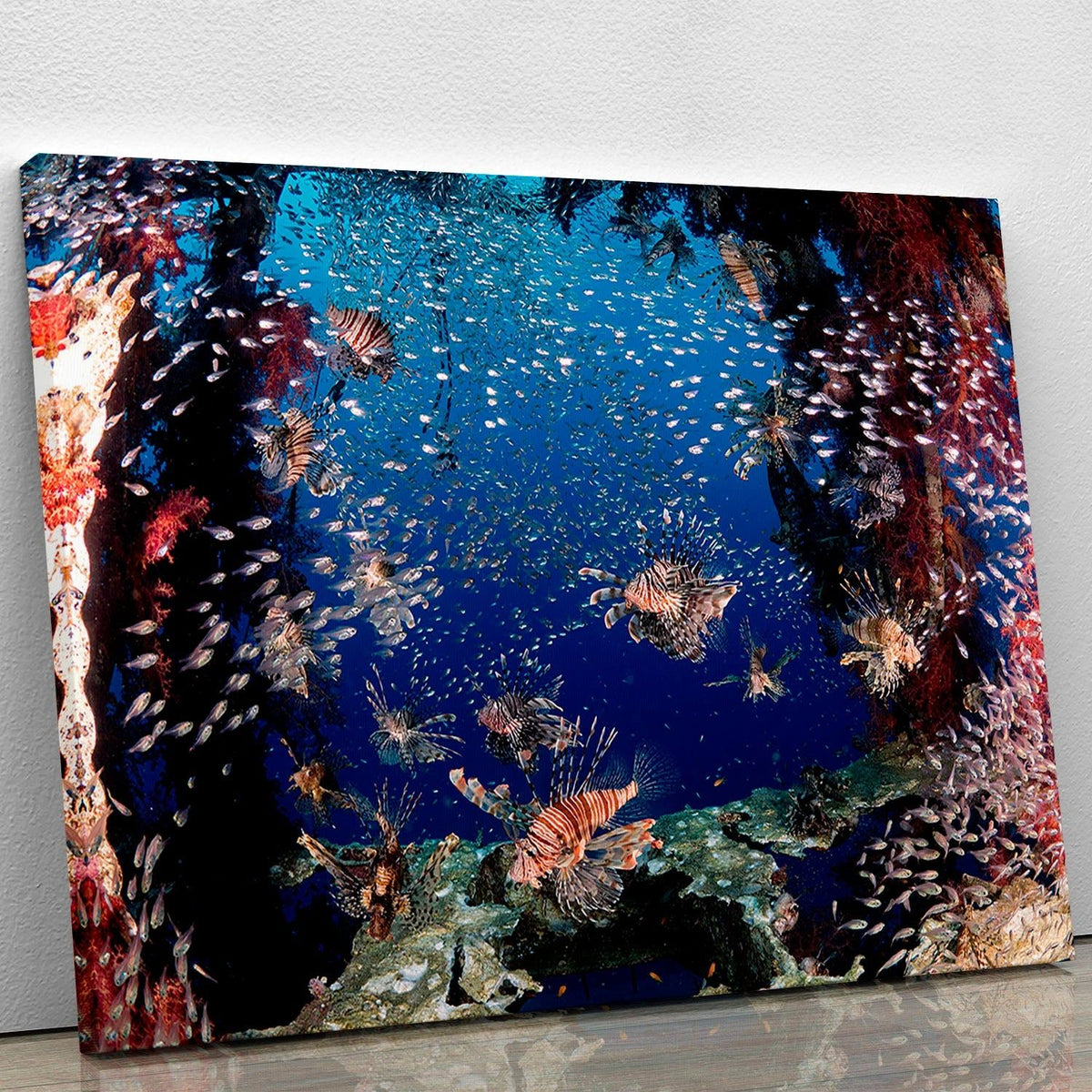 Lionfish Party Wall Art with an Aquatic Focus