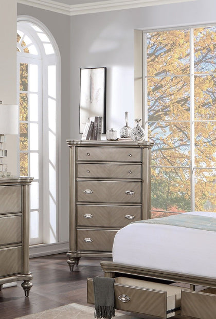Luxury Classic Antique Silver / Champagne Finish 1pc Chest of Drawers Storage Space