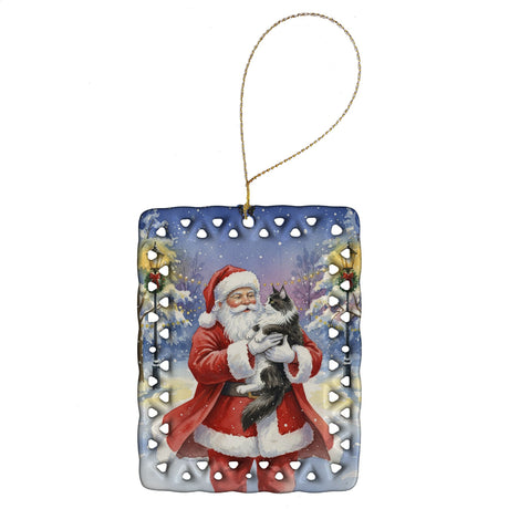 Black and White Maine Coon with Santa Ornament