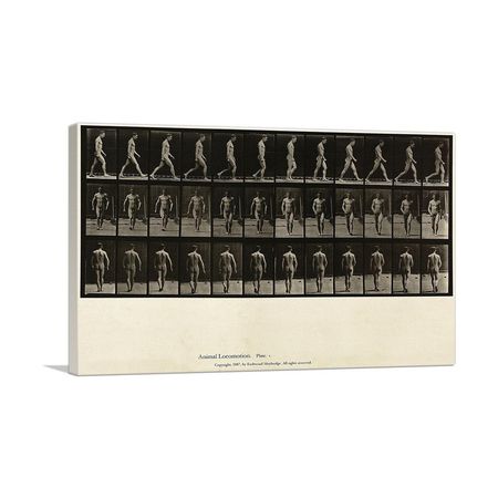 Man Walking Locomotion Plate 1 1887