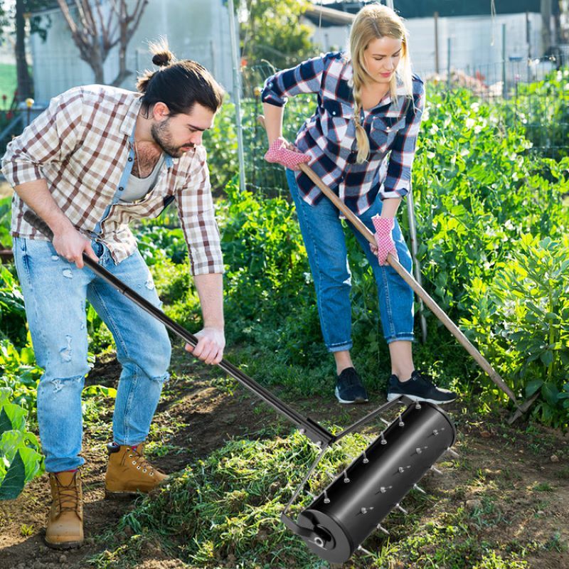 Achieve a Lush Lawn with This Manual Aerator