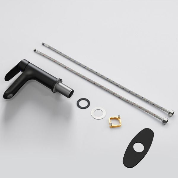 Matte Black Single-Handle Bathroom Faucet