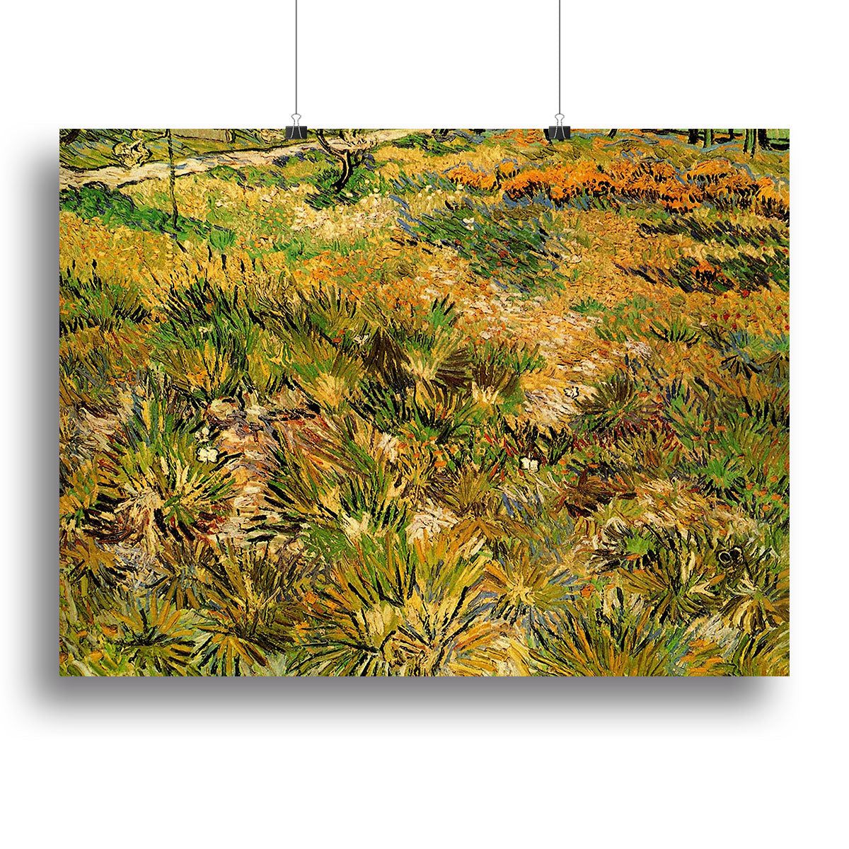 Van Gogh Saint-Paul Garden Meadow Wall Art