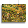 Van Gogh Saint-Paul Garden Meadow Wall Art