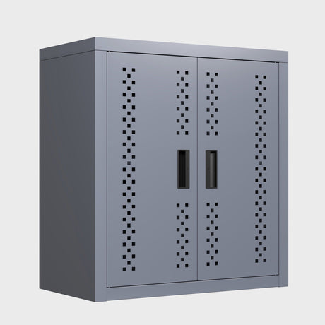 Space-Saving Wall-Mounted Storage Cabinet with Removable Shelves