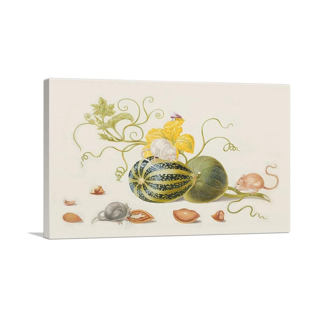 Mice With Squash and Nuts 1705 Wall Art
