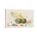 Mice With Squash and Nuts 1705 Wall Art