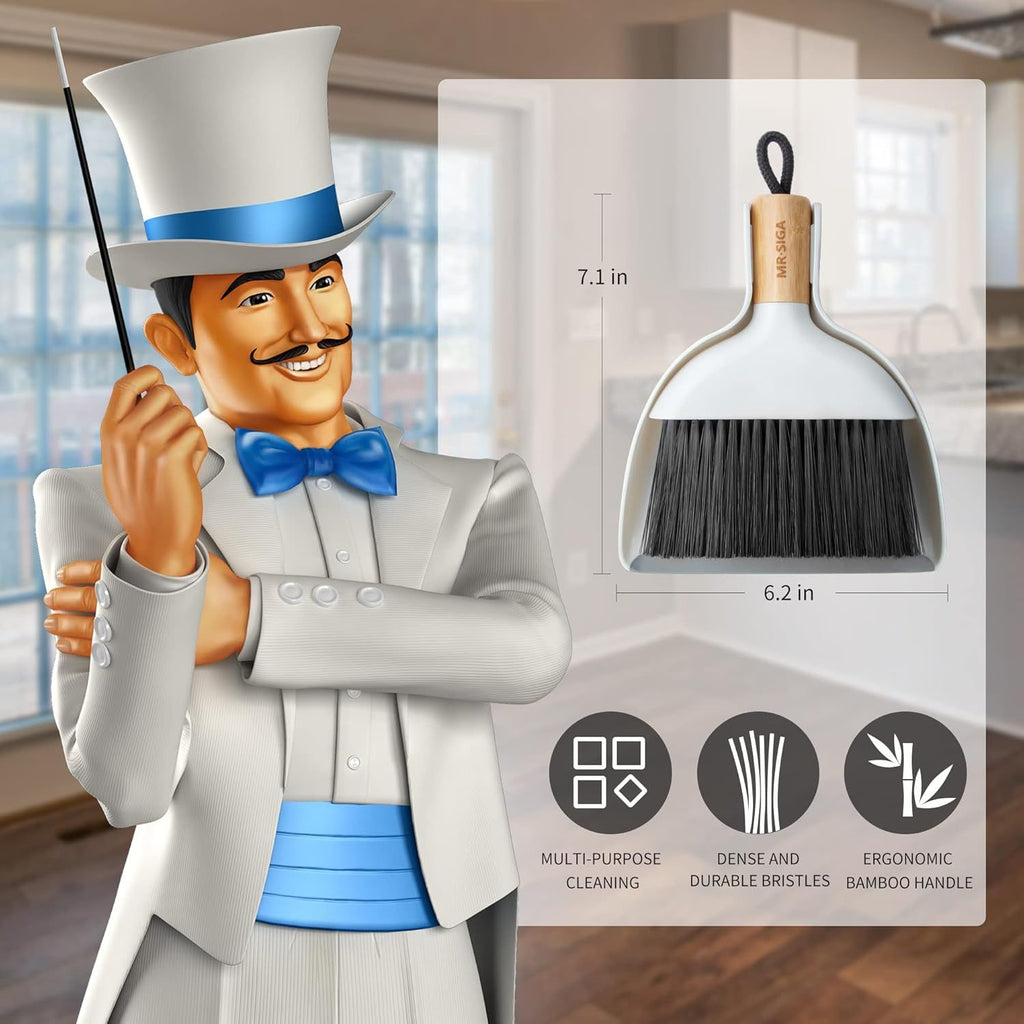 Compact Dustpan and Brush Set for Home Cleaning