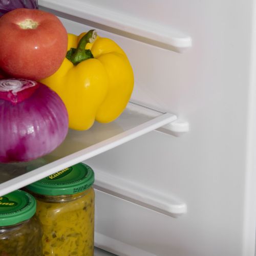 Compact Mini Fridge with Freezer and Adjustable Thermostat