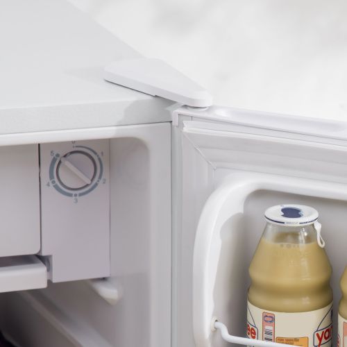 Compact Mini Fridge with Freezer and Adjustable Thermostat