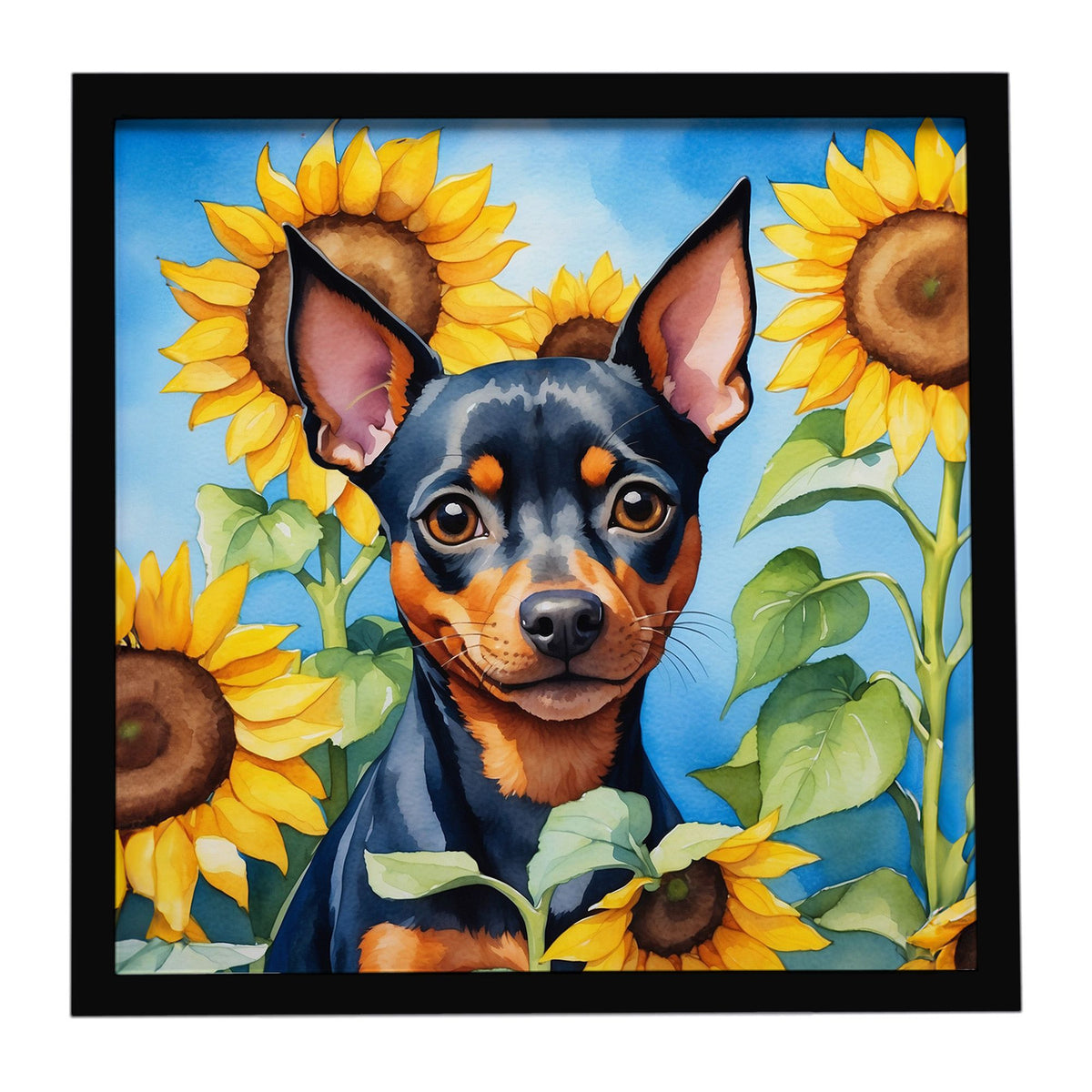 Miniature Pinscher in Sunflowers Framed Wall Art