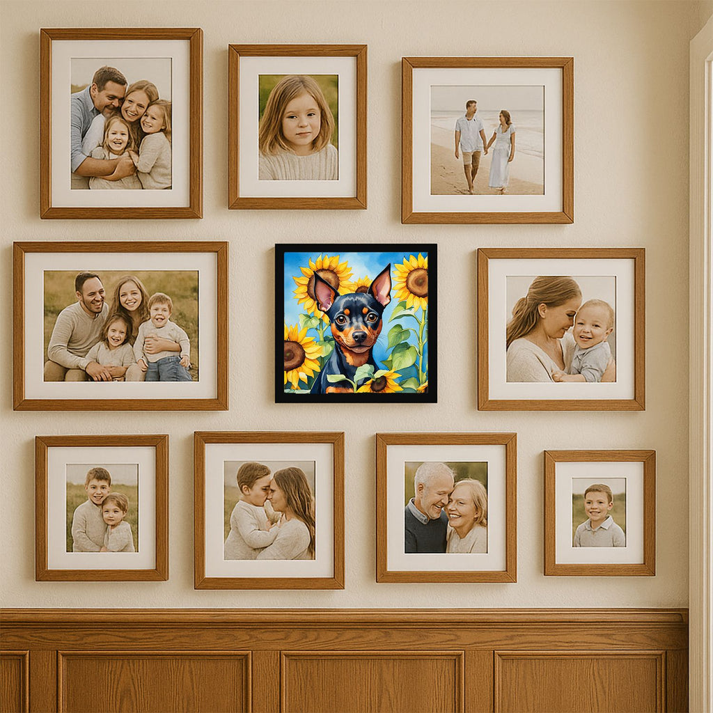 Miniature Pinscher in Sunflowers Framed Wall Art