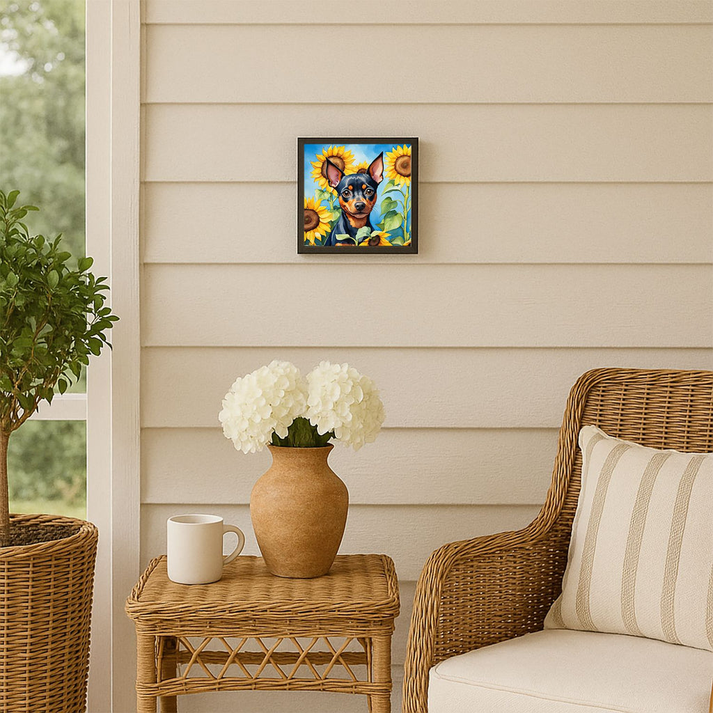 Miniature Pinscher in Sunflowers Framed Wall Art